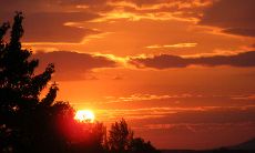 如何通过发送问候短信来减轻压力和增加幸福感？