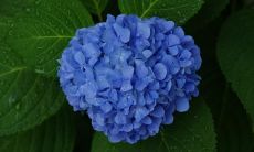 一百个字的孩子们在玩耍的快乐瞬间，欢声笑语，尽情畅玩，在阳光明媚的午后，跑来跑去的小脚步变换着节奏，蹦跶着，欢乐着，时而手拉手，组成一道道美妙的童年记忆；阳光洒落在孩子们欢快的脸庞上，照亮他们纯真无邪的微笑，让人不禁感受到一股发自内心的温暖和感动