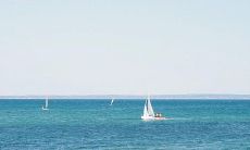 探寻人性本质与亲情力量的难以言喻的联系