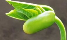 早安励志正能量句子，为你们的一天注入动力和活力！