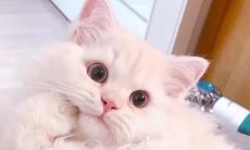 2021年最受欢迎的微信名称：富有个性的文艺小清新、幽默风趣的搞笑达人、脑洞大开的创意玩家等等