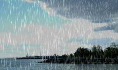 夏至时刻雨水相迎：深情问候的短信