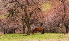 在清明节期间，向老师发短信表达问候和祝福的小姿态