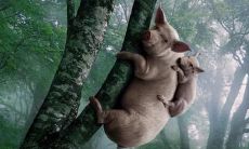 越短的搞笑句子越好，可以在短暂的瞬间带来欢声笑语