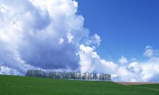 在蓝天白云的天空下，畅享美好心情——一系列欢乐的话语