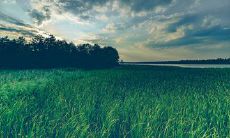 唯美的正能量短句：河南的疫情中正面力量涌现，那些感人至深的言语印证了人类真正的温情和强大的凝聚力！