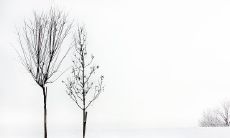 一些关于立冬的有关寒潮、冬至、气候变化和食品的句子