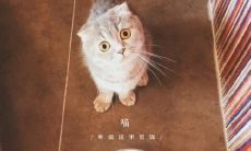 一些有趣的短语，可以用来让他人感到开心并放松心情的方法