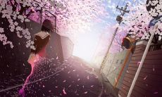 赏析那些诉说爱意的深情唯美句子