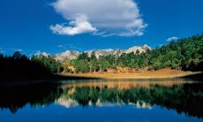 五彩斑斓的自然美景 - 山水相映，花草争艳，湖光山色，绚丽无比的景象