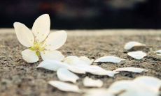 寒冷冰雪天气中通过短信传递友好问候信息的方法