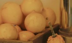 整合了各种祝福内容的丰富、全面的短信合集：祝福短信大全