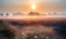 探寻2022年人生意义的启示性座右铭句子：从质朴的生活中寻找真正的幸福