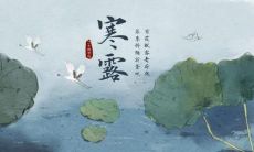 农历九月中的寒露节气，分享一些朋友圈祝福语，让你和你的朋友圈浓缩温情，共享节日美好时刻