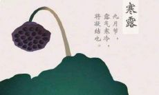 发表寒露季节的祝福措辞，与亲朋好友共度温馨季节