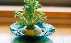 尽可能长一些的改写标题为：展现青春时光的简洁又文艺的小清新短句，让人沉醉其中