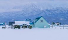 惊艳冬季，纯白雪景下的浪漫与诗意：用文字描绘冬日飘雪的美丽景象