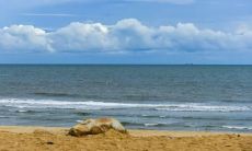 哀伤痛苦难忍的句子，表达内心不安和想哭的说说心情短语