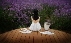 从日出到日落——光阴虚度，悄然流逝