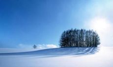 雪落天地间，梦境般绮丽壮观的有意境短句