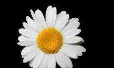 25个疫情期间隔离在家的说说收录：坚持不出门的25句句子，虽然很无聊但也颇具启发！