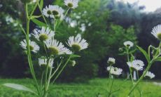 如何在平衡家庭、职业和幸福之间寻找真正意义的人生？——探讨亲情、工作和内心满足的关系