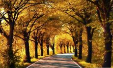 提供的短信问候服务-在今天的气候条件下、充满关怀程度！