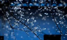 无法忍受每日不断的降雨——忧心顿生的描述