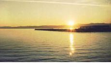 在失恋后，心痛难忍的绝望氛围中，若能寻找到一些能代表内心痛苦和困惑的文字，或许能够缓解一些心灵上的压抑和痛苦：深切悲痛的言辞——记录失恋时的心碎瞬间