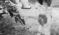 白槿湖鸣人捕梦网的励志名言与启示——汇集白槿湖历史、文化与哲学，传承白槿湖智慧，激励你我成长与进步