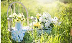 一些带着感恩之情的句子，教人如何做一个感恩的人