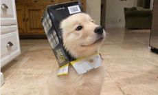 一系列让人无法自拔、笑容爆棚的优美句子