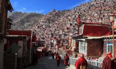 领悟至深的佛家启示：带您领略大彻大悟的经验和精神启示！