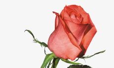 一大波搞笑的心情开心句子，把你的心情瞬间变得欢快幸福！