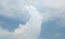 经营亲情并非易事，但却是必要的 – 改善与家人的关系需要努力与时间