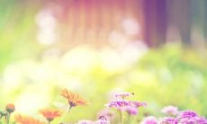 十句套路哄女人开心的话，逗女孩子开心的情话文案句子大全