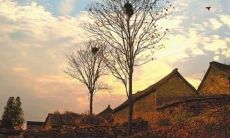 一些令人心驰神往的、充满活力与美丽的自然景色和城市风光，值得我们细细品味的精彩景象