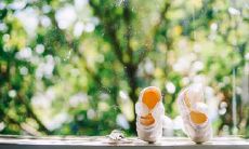 家人之爱：一个永不分离的感人故事