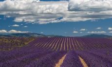 Heartfelt English Sentences that Expound on the Theme of Familial Love