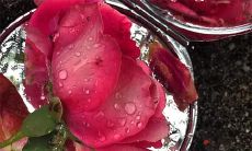 令人感到清新、令人萌动情感的简短语句