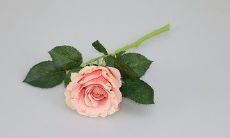 Compiling a Collection of English Essays on Westerly Thanksgiving Sentences