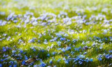 春季气候多变，为你送上温暖问候短信