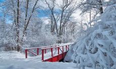 雪花纷纷落下的日子，一同探访位于山巅的白头句子风光，感受冬季迷人魅力！