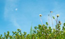 经过深刻思考的关于哲理和人生的启示性语句