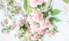 渐浓渐厚的亲情：展现不断加深的亲情感受的描述