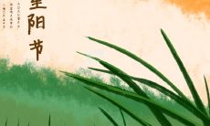 易背诵，表达心意，弘扬中华文化：重阳节向长辈发送简短祝福短信的实用技巧和精选内容推荐