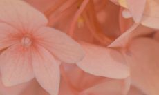 精选的适合在朋友圈发表的鼓舞人心的正能量短语和励志语句