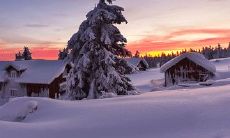 2022年唯美个性签名：关于冬季下雪，溢彩缤纷的绚丽诗篇！