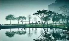 享受宁静的宽容心态：一些能让你更加平和的改变句子