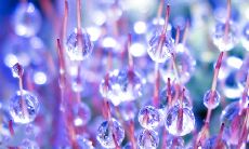 在霜降这个日子里，向亲朋好友送上手机短信，让我们一同传递温馨祝福吧！以下是值得借鉴的霜降短信温馨祝福语文案